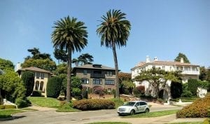 homes on a street with palm trees
