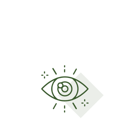eye icon