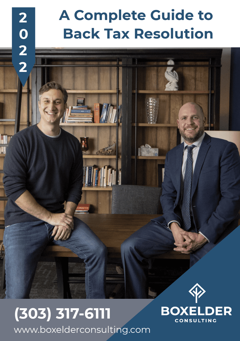 a preview of the front page of the Back Taxes downloadable PDF