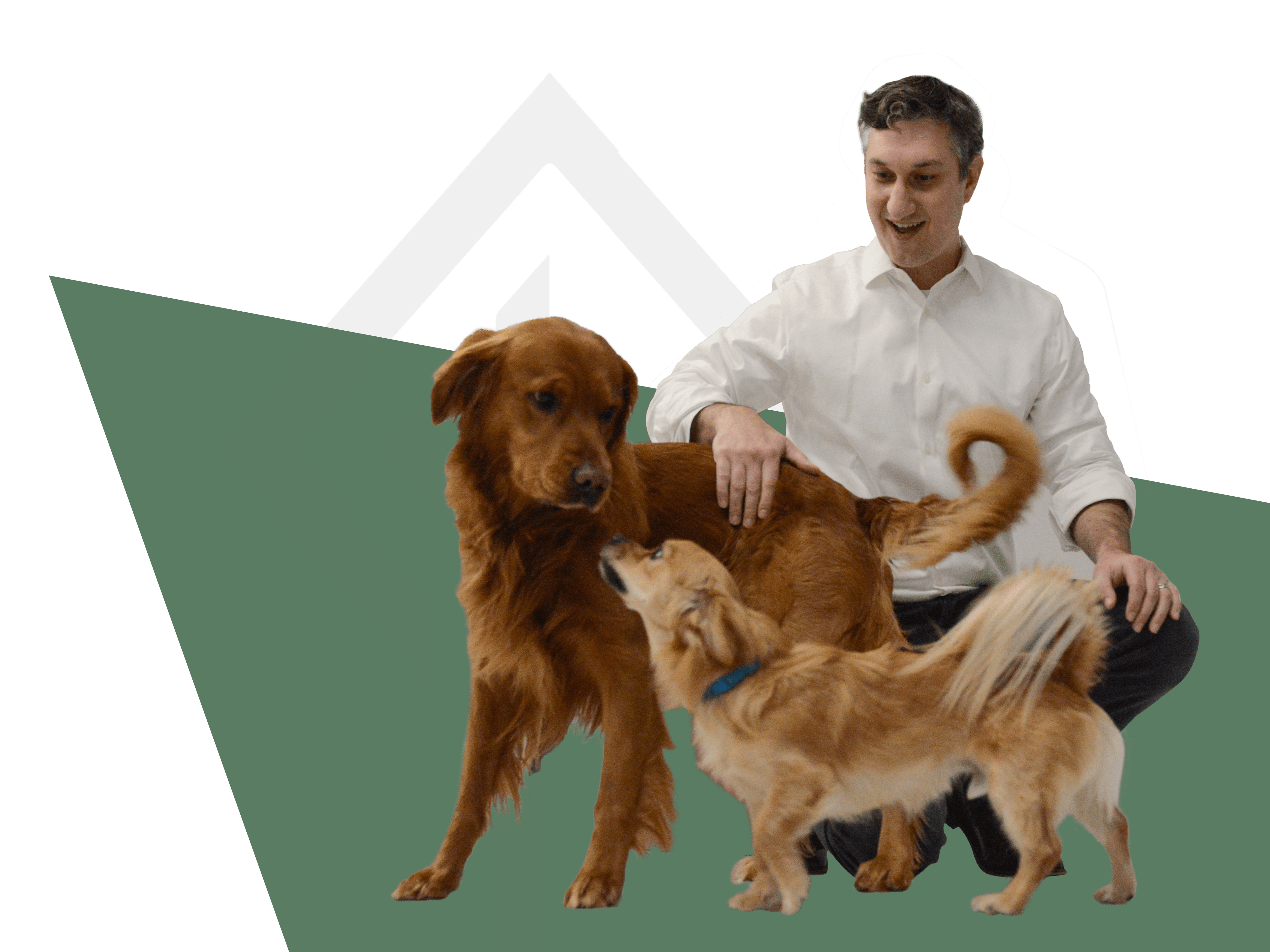 Dave Weishaus of Boxelder Consulting with a couple of our office dogs.