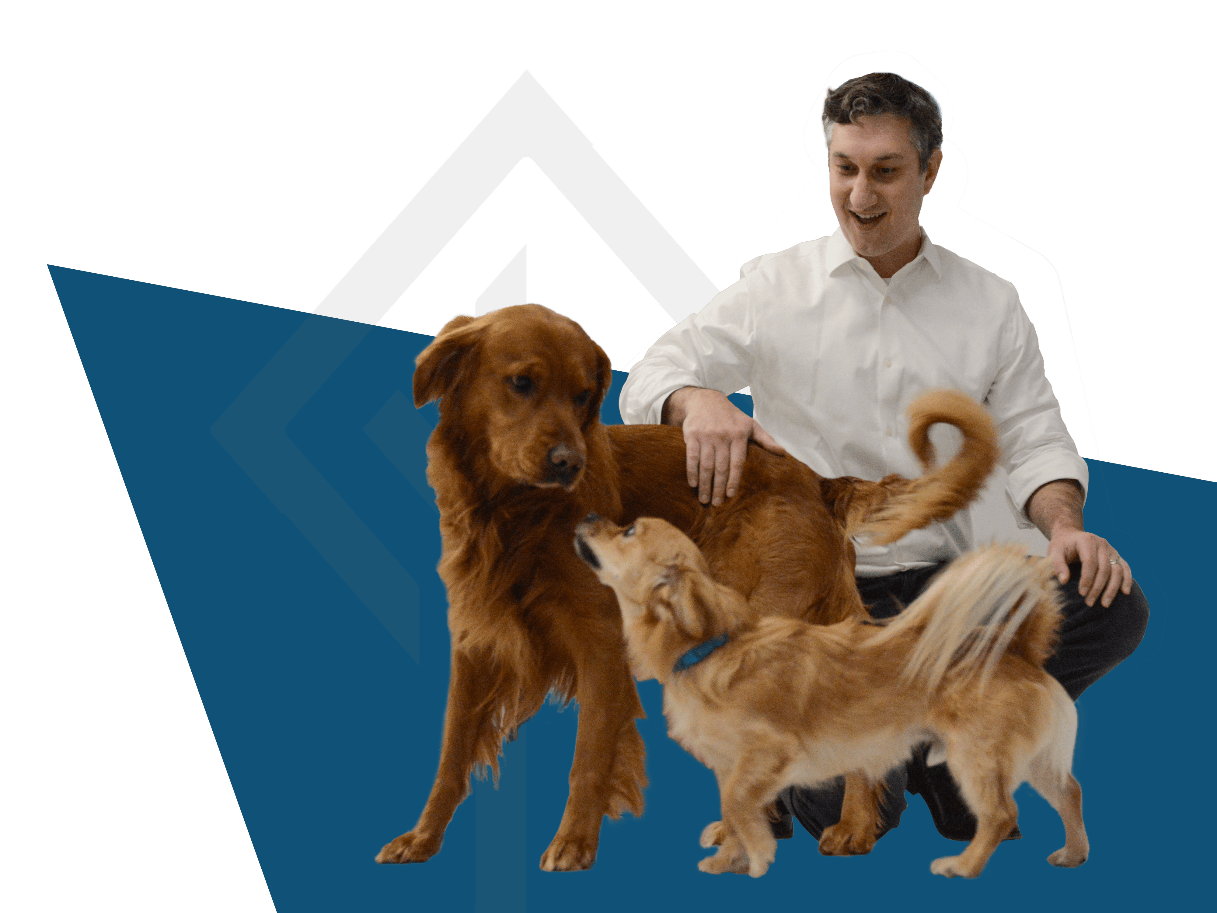 Dave Weishaus from Boxelder Consulting, and the Boxelder Therapy dogs are here to help.