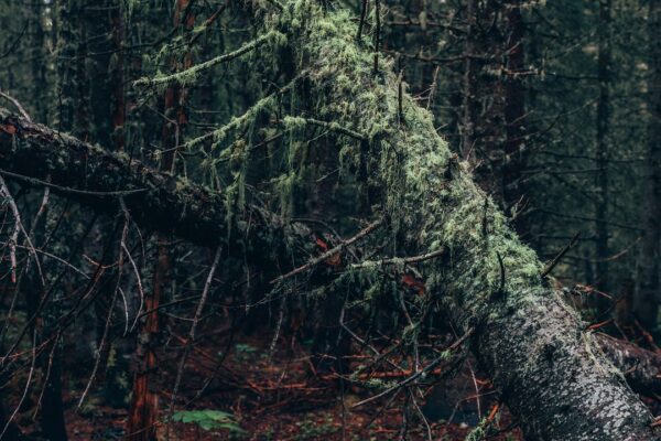 tax season 2025, tax deductions and credits for 2025, tax season 2026